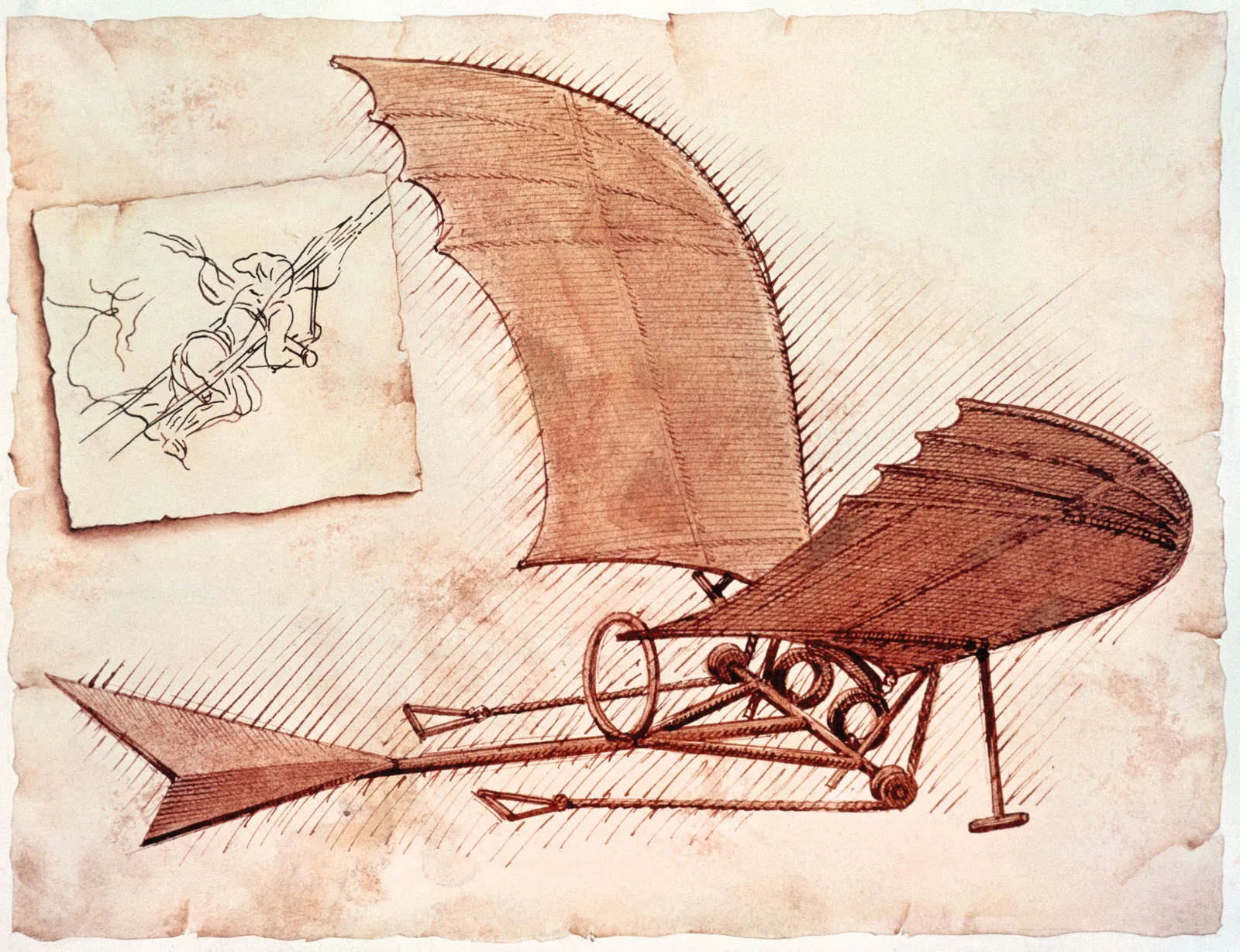 da vinci drawing of an ornithopter